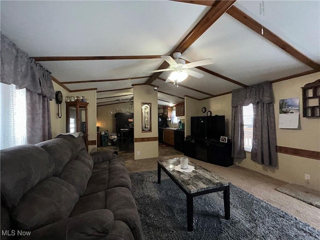 living room featuring lofted ceiling with beams, carpet, and a ceiling fan