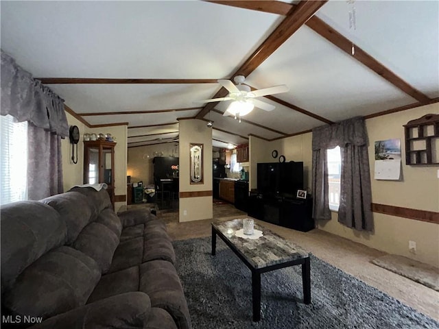 carpeted living area with lofted ceiling with beams and ceiling fan