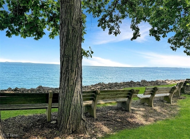 view of water feature