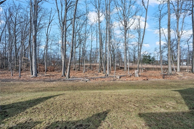 27870 Birchwood Ct, Westlake, OH 44145 - photo 34