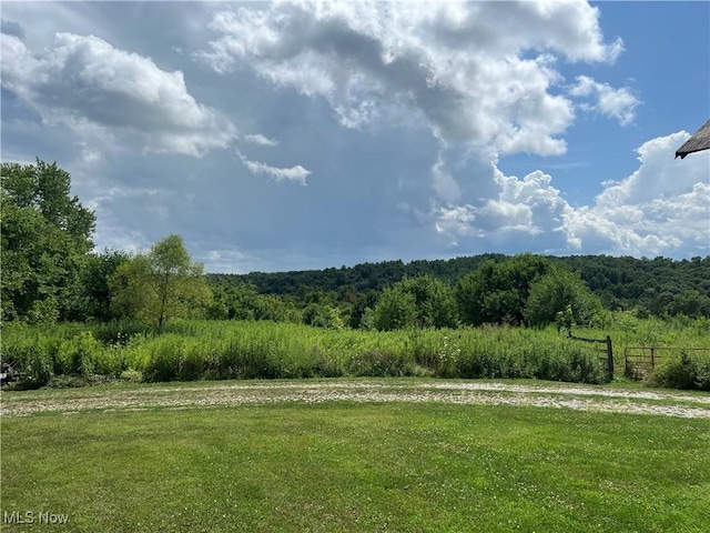 view of yard featuring a wooded view