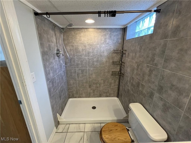 bathroom with a stall shower and toilet