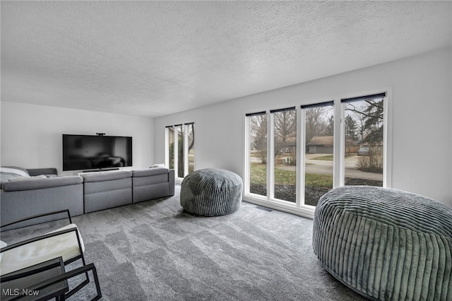 living room featuring carpet floors and a textured ceiling