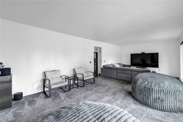 living area with carpet flooring and a textured ceiling