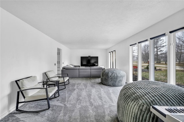 carpeted bedroom with a textured ceiling