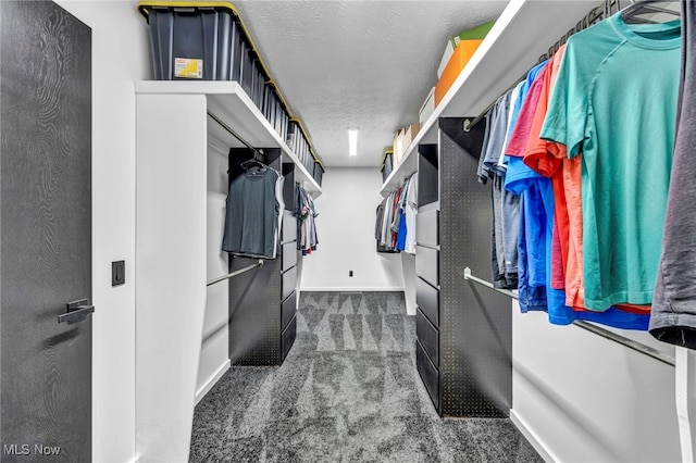 walk in closet featuring carpet floors