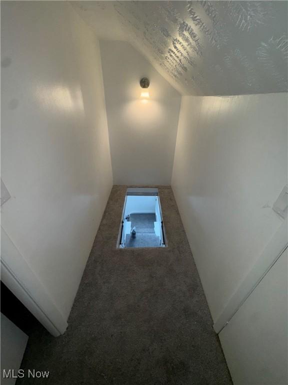 interior space with vaulted ceiling, a textured ceiling, and carpet flooring