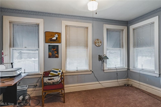 1518 Washington Ave, Parkersburg, WV 26101 - carpeted home office featuring baseboards and a healthy amount of sunlight