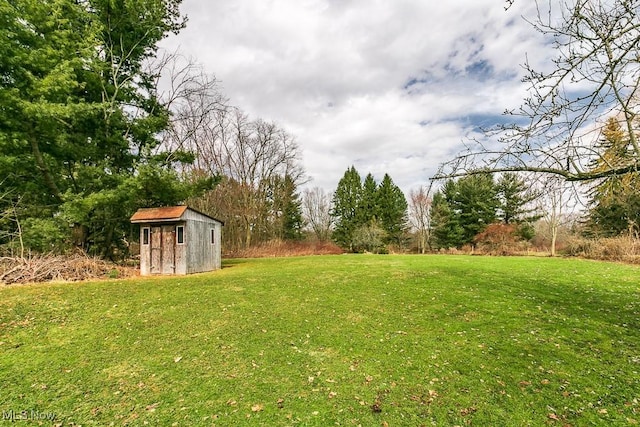 view of yard featuring an outbuilding and a storage unit