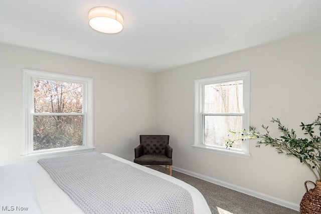 bedroom featuring multiple windows, baseboards, and carpet flooring