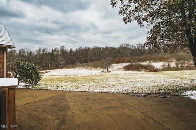 view of yard with a wooded view