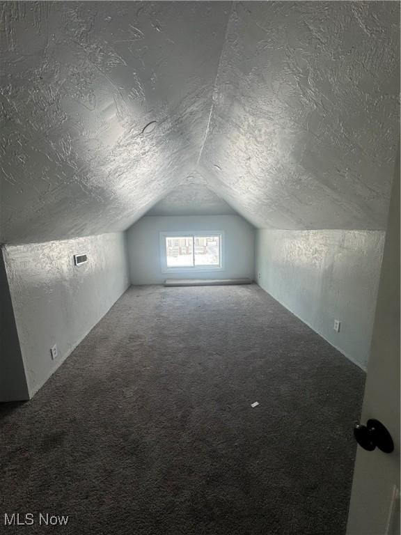 additional living space with carpet floors, a textured ceiling, and lofted ceiling