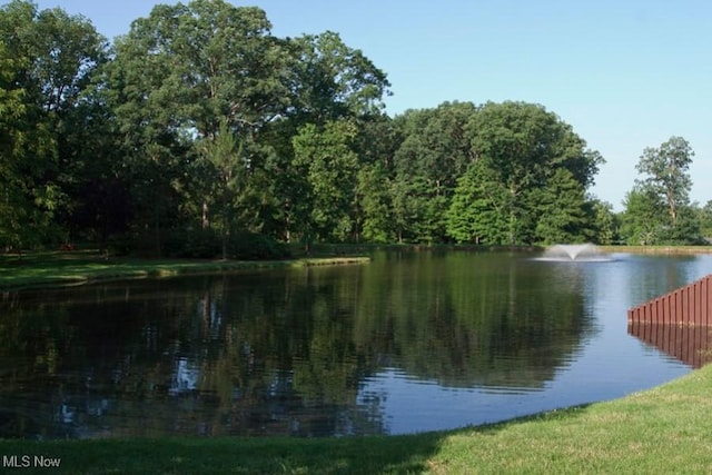 view of water feature