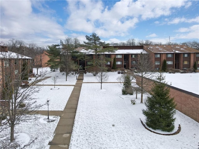 view of snowy yard