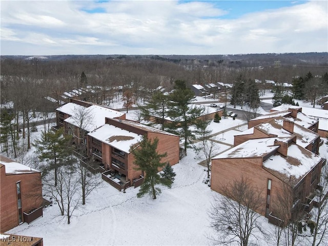 view of snowy aerial view