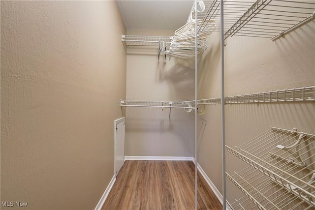 walk in closet featuring wood finished floors