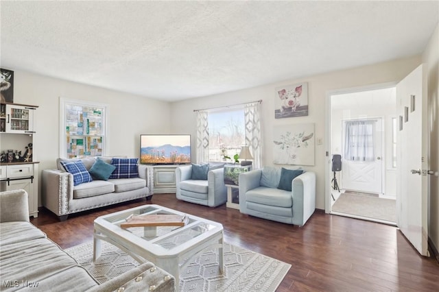 living area with a textured ceiling and dark wood-type flooring