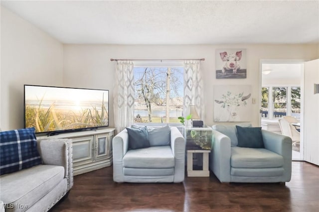 sitting room featuring plenty of natural light and wood finished floors