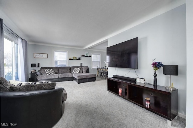 view of carpeted living room