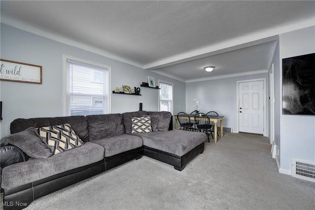 carpeted living area with visible vents and baseboards