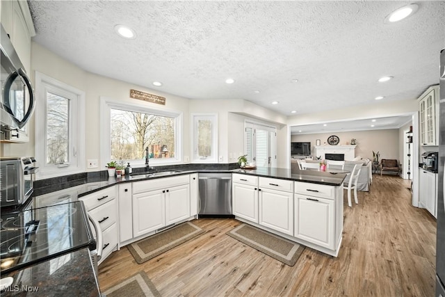 kitchen featuring light wood finished floors, a fireplace, stainless steel appliances, and a sink