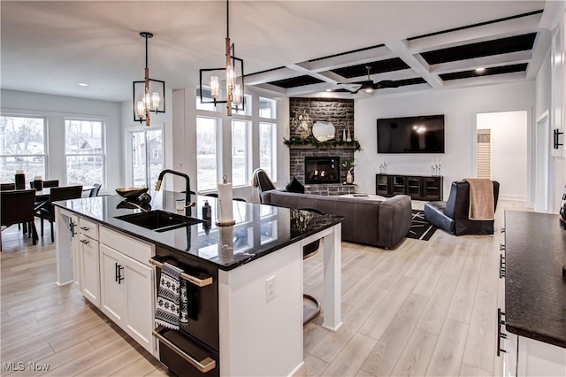 kitchen with light wood finished floors, a fireplace, a sink, and white cabinets