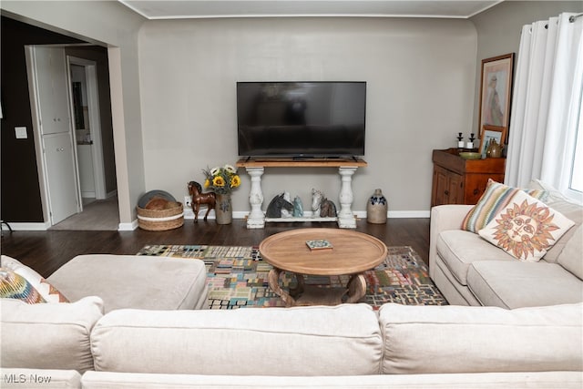 living room with baseboards and wood finished floors