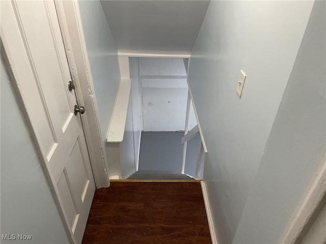 stairway featuring wood finished floors