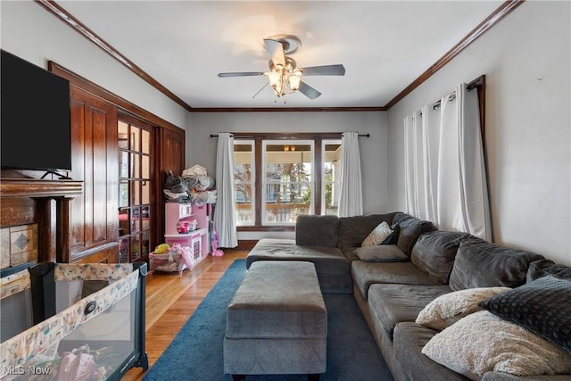 living area featuring light wood-type flooring, ceiling fan, and ornamental molding