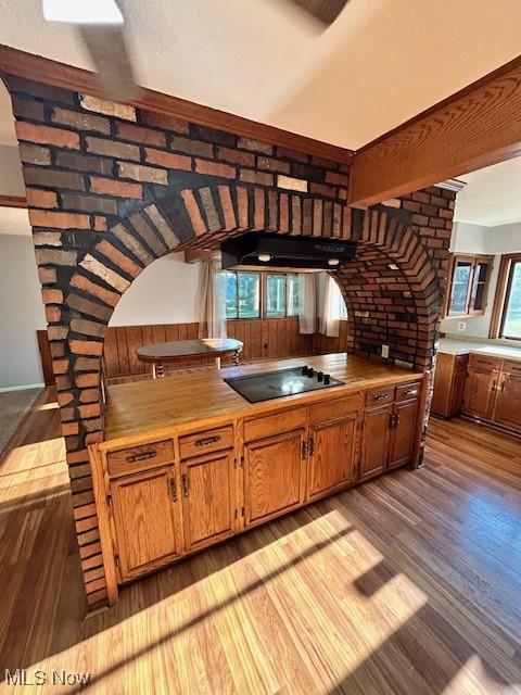 kitchen featuring black electric cooktop, under cabinet range hood, light countertops, light wood finished floors, and brown cabinetry