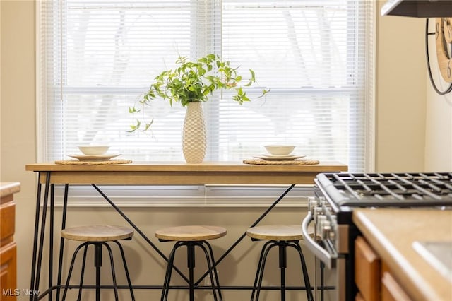 interior details with stainless steel gas range