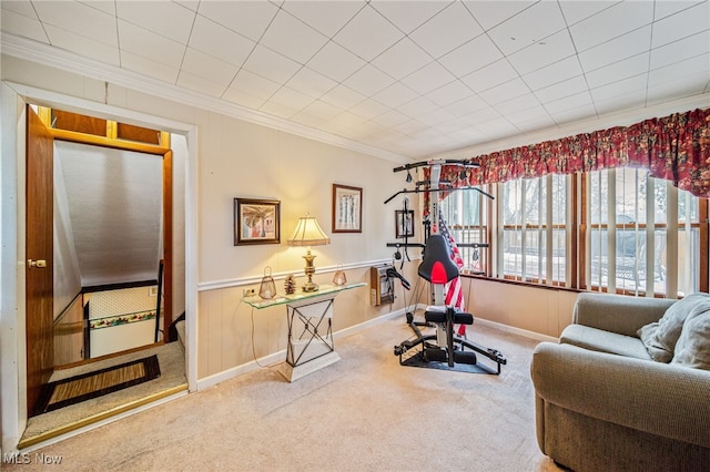 exercise room with carpet floors and ornamental molding