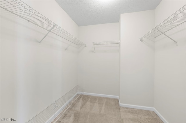 spacious closet featuring carpet