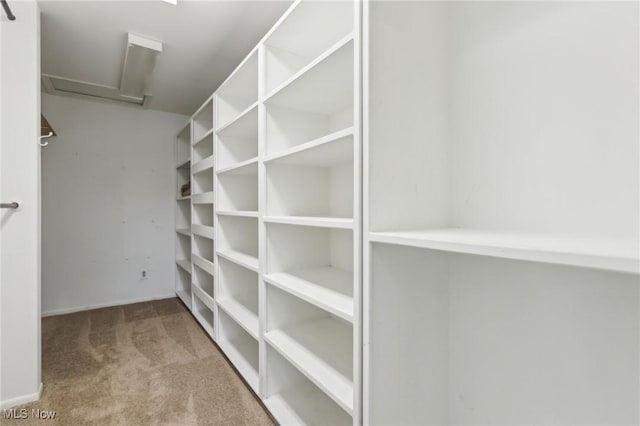 spacious closet featuring attic access and carpet