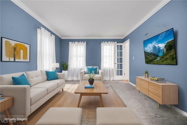 living room featuring baseboards and crown molding