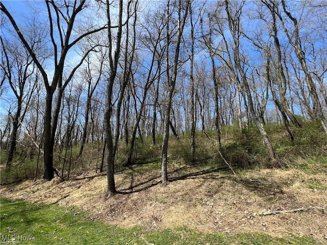 Listing photo 2 for TBD Derby Dr, New Cumberland WV 26047