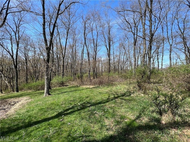 Listing photo 3 for TBD Derby Dr, New Cumberland WV 26047