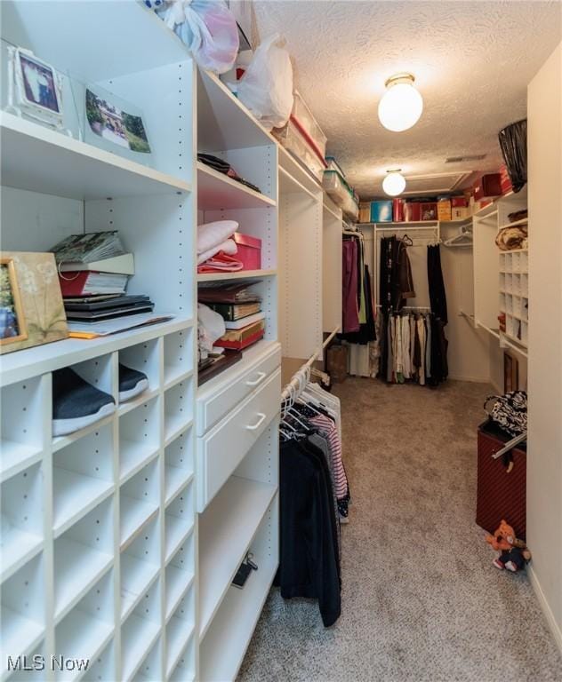 walk in closet with light carpet