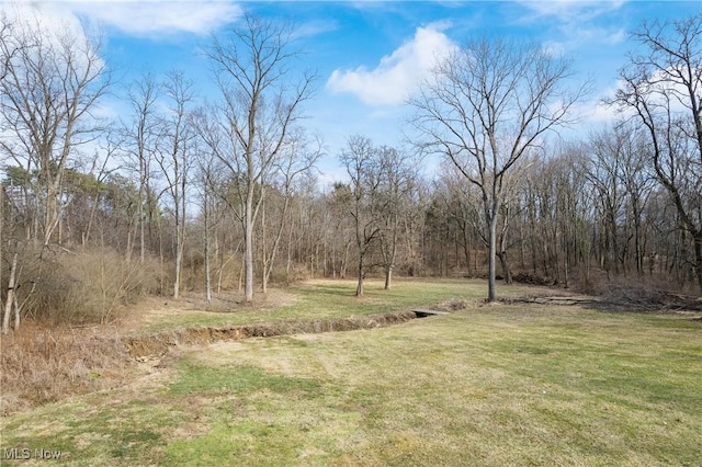 view of yard featuring a forest view