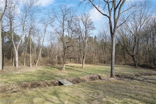 view of yard featuring a forest view