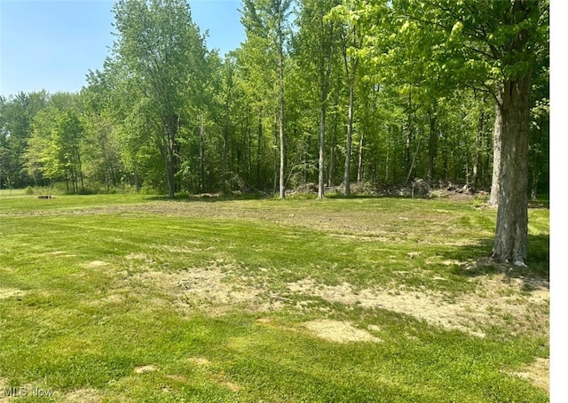 view of yard featuring a wooded view