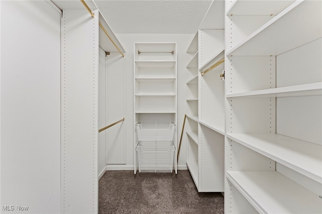 spacious closet with dark carpet