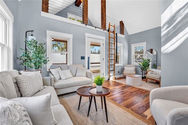 living room featuring high vaulted ceiling, hardwood / wood-style flooring, and a healthy amount of sunlight