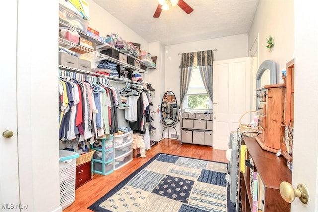 spacious closet with ceiling fan and wood finished floors