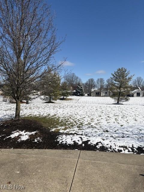 view of yard layered in snow