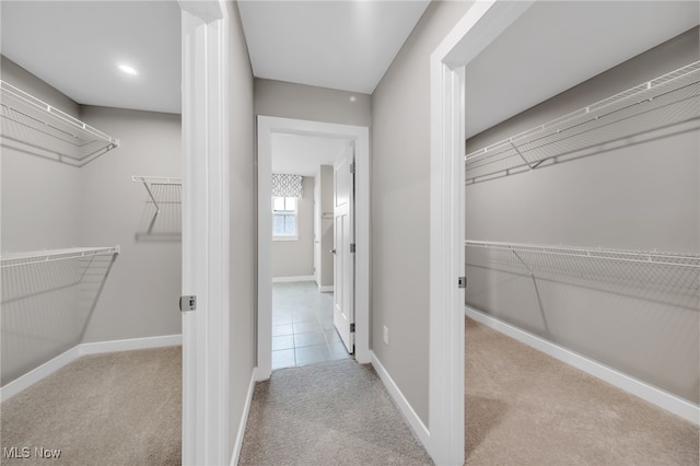 walk in closet with carpet floors