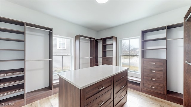 spacious closet with light wood-style flooring