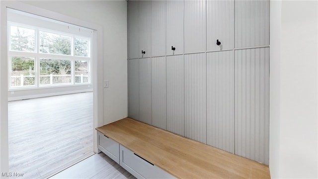 mudroom with light wood-style flooring