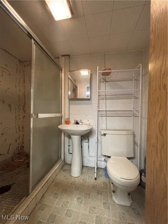 bathroom featuring toilet and a shower stall