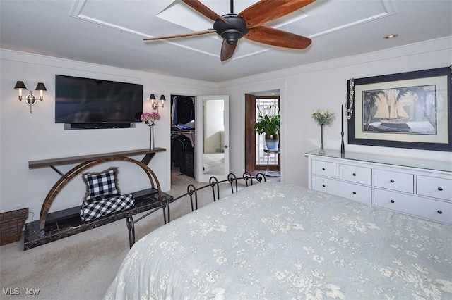 bedroom featuring carpet, a spacious closet, and a ceiling fan